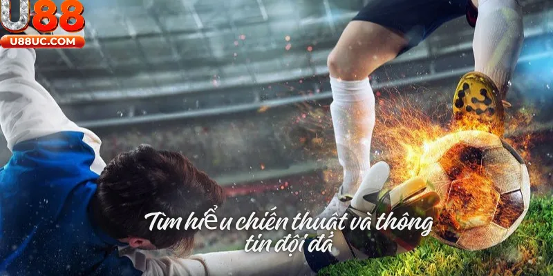 Tìm hiểu chiến thuật và thông tin đội đá